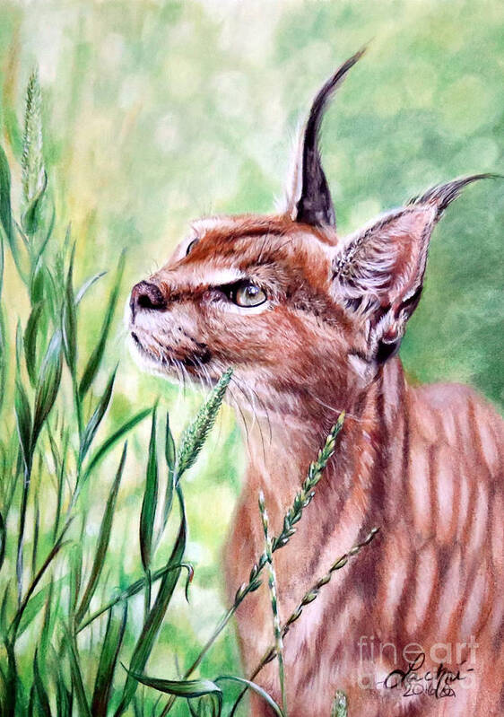 Caracal Poster featuring the painting Caracal by Lachri
