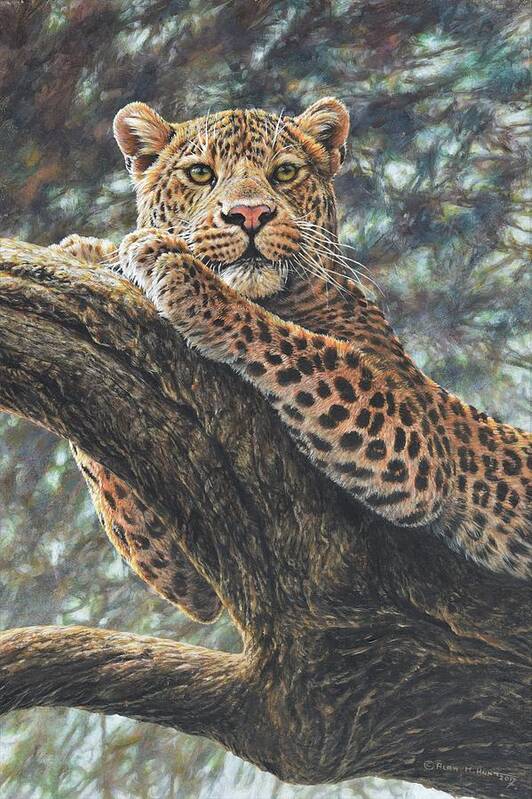 Wildlife Paintings Poster featuring the painting Catching the Sun by Alan M Hunt