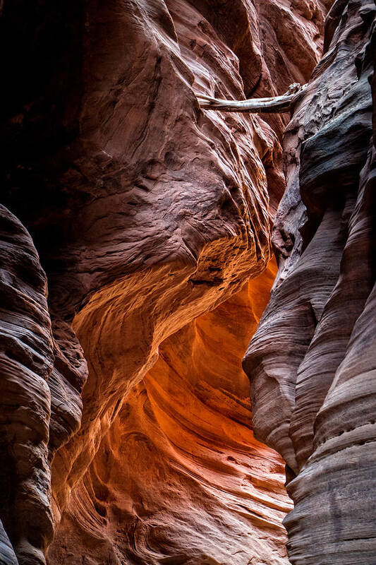 American Southwest Poster featuring the photograph Caught in a Pinch by James Capo