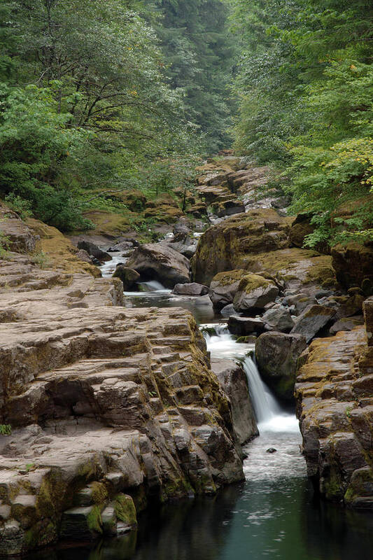 Nature Poster featuring the photograph Cedar Creek #2 by Ben Upham III