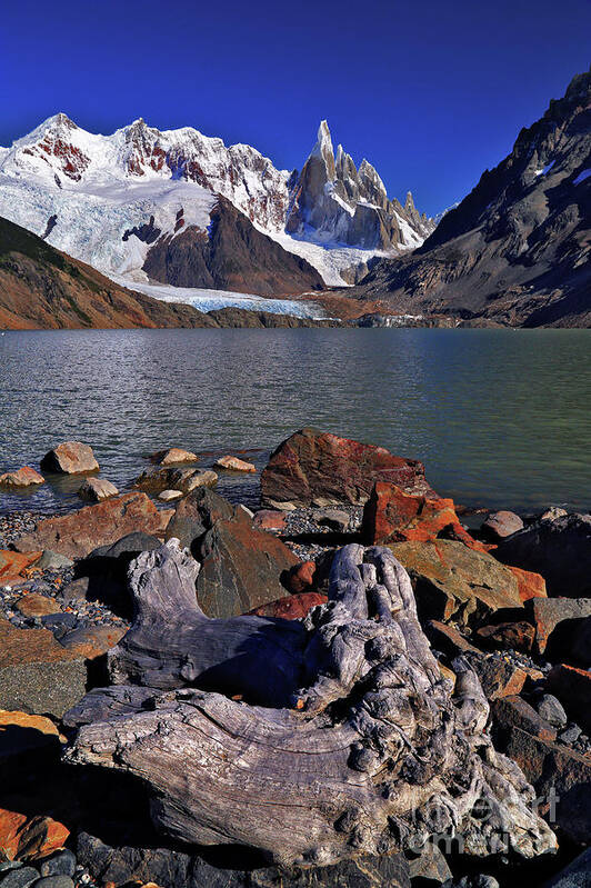 Cerro Torre Chalten Santa Cruz Patagonia Argentina Bernardo Galmarini Poster featuring the photograph Cerro Torre 08 by Bernardo Galmarini