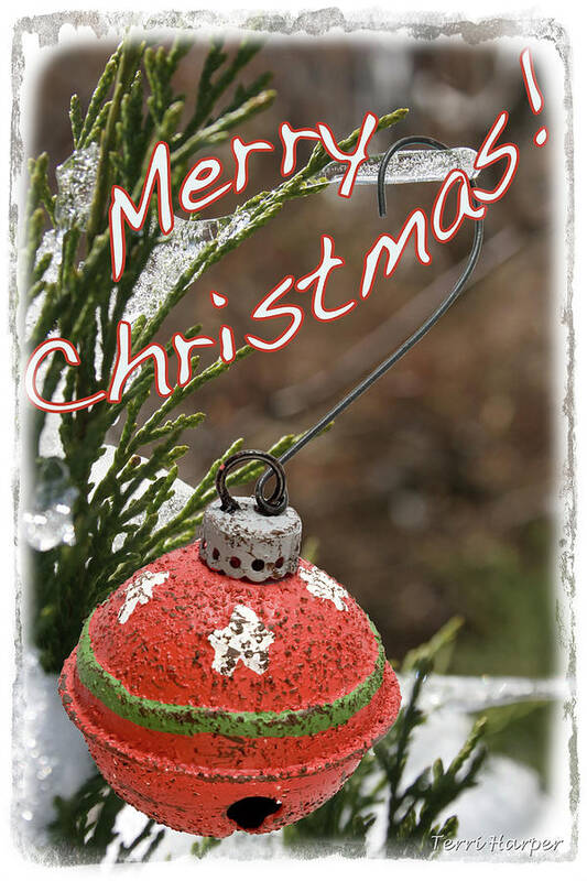 Christmas Ornament Poster featuring the photograph Christmas Bell Ornament by Terri Harper