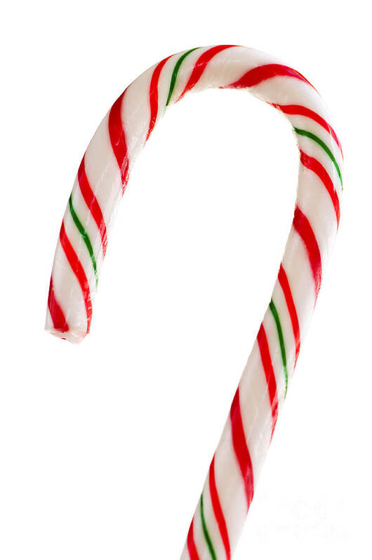 Candy Poster featuring the photograph Christmas candy cane by Elena Elisseeva