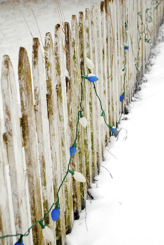 Picket Fence Poster featuring the photograph Christmas Fence by Troy Stapek