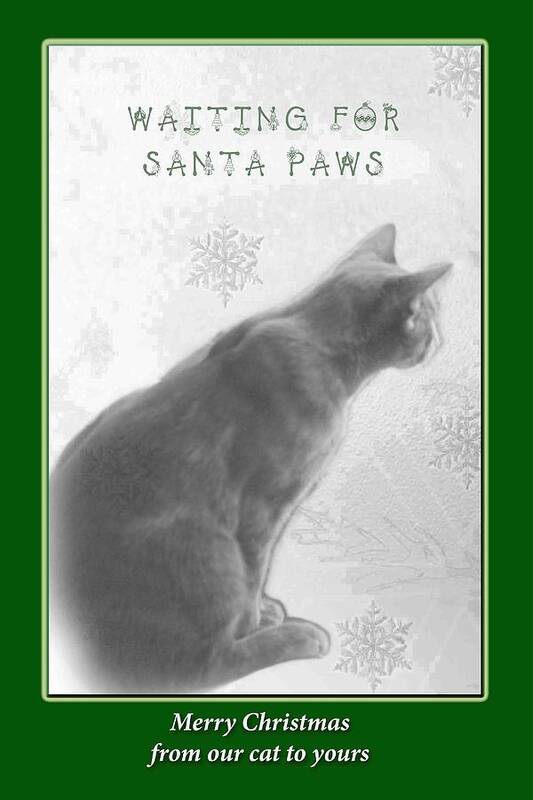 Christmas Poster featuring the photograph Christmas Pet Greeting Card - Waiting For Santa Paws by Carol Senske