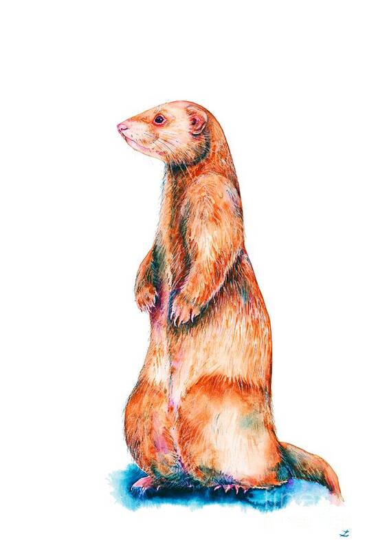 Ferret Poster featuring the painting Cinnamon Ferret by Zaira Dzhaubaeva