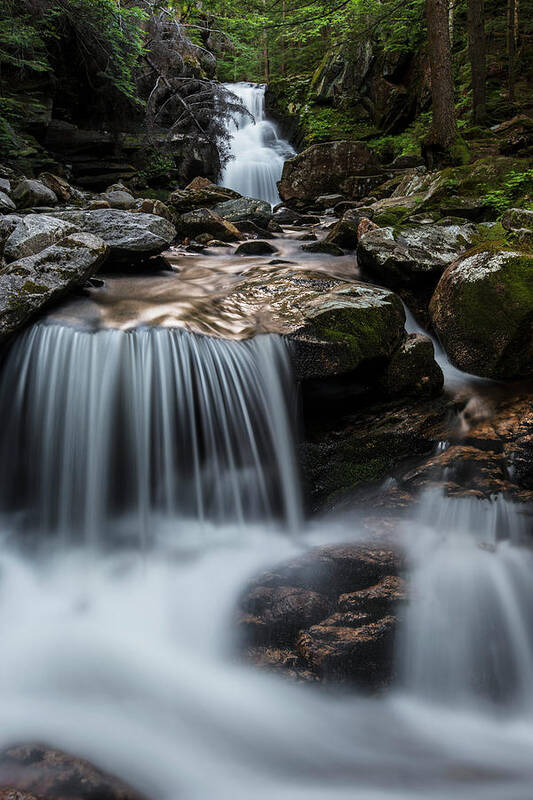 Cold Poster featuring the photograph Cold Brook Fall by White Mountain Images