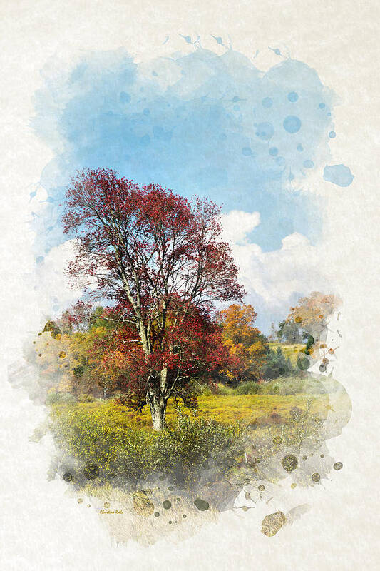 Autumn Poster featuring the mixed media Autumn Tree Watercolor Art by Christina Rollo