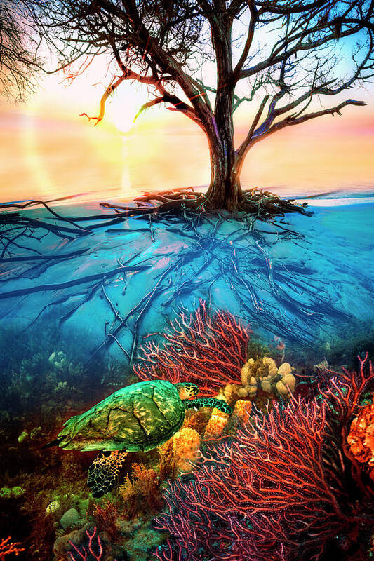 Clouds Poster featuring the photograph Colorful Coral Seas by Debra and Dave Vanderlaan