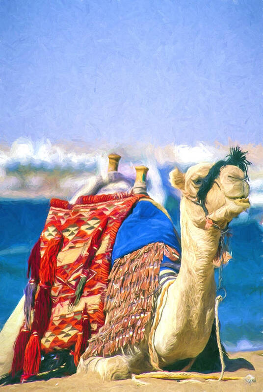 Arabic Poster featuring the digital art Colourful Camel by Roy Pedersen