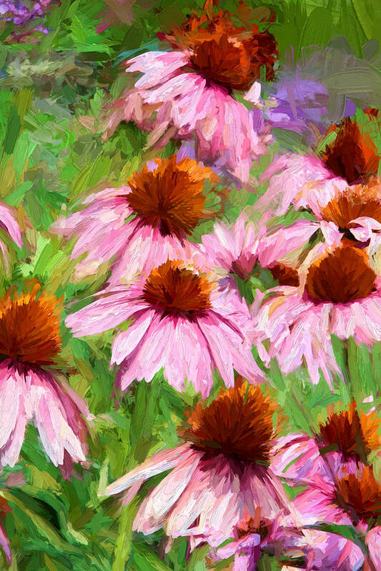 Gardens Poster featuring the photograph Cone Flowers by John Freidenberg