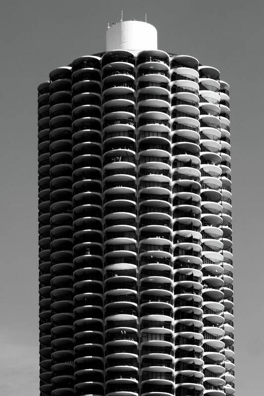 Chicago Poster featuring the photograph Corn Cob by John Gusky