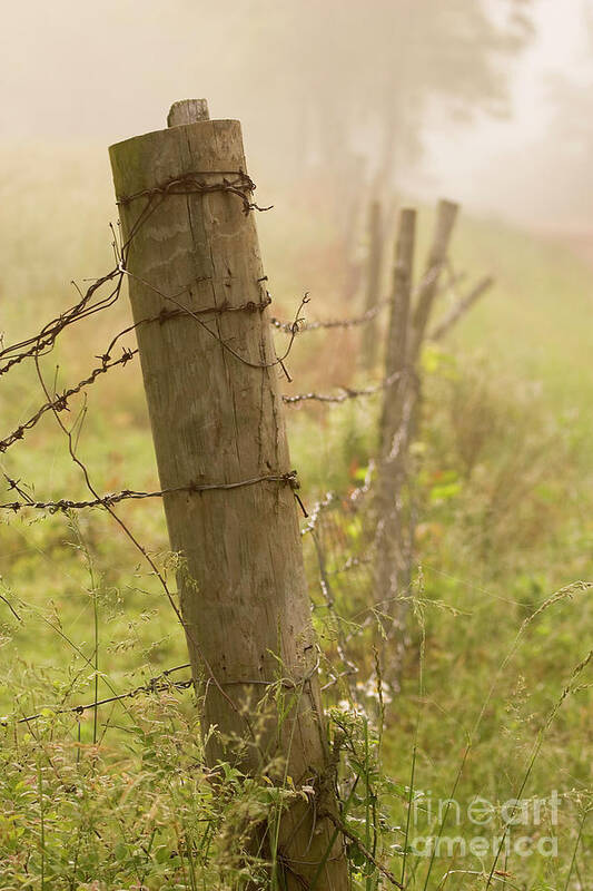 Country Roads Poster featuring the photograph Corner Post by Reva Dow