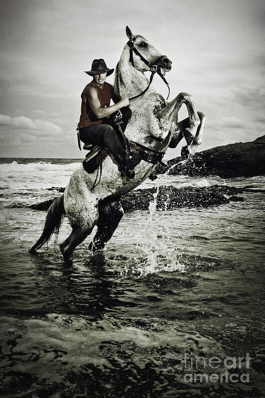 Horse Poster featuring the photograph Cowboy on the rear up horse in the river by Dimitar Hristov