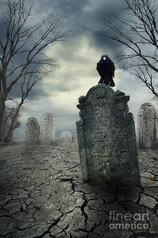 Graveyard Poster featuring the digital art Crow on the tombstone. Halloween design. by Jelena Jovanovic