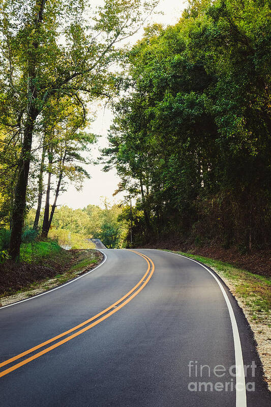 Curvy Poster featuring the photograph Curvy road by Iryna Liveoak