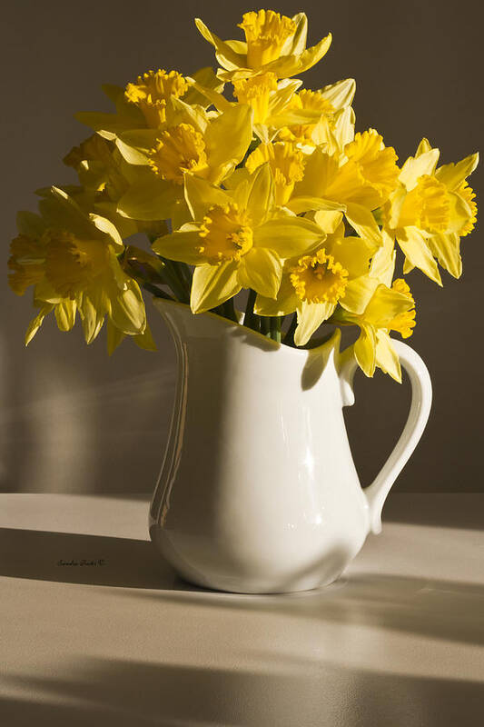 Daffodils Poster featuring the photograph Daffodil Filled Jug by Sandra Foster