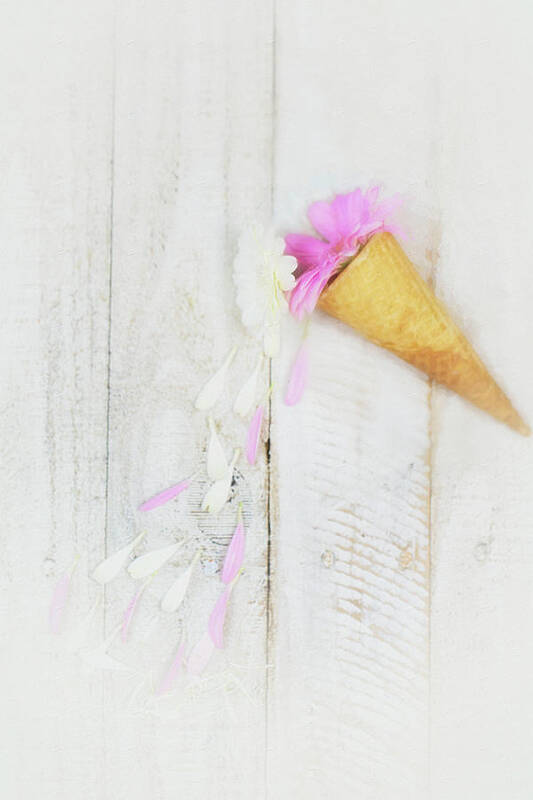 Painterly Poster featuring the photograph Daisy Ice Cream Cone by Susan Gary