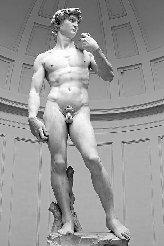 David Poster featuring the photograph Michelangelo David Marble Statue, Accademia Gallery, Florence, Italy by Kathy Anselmo