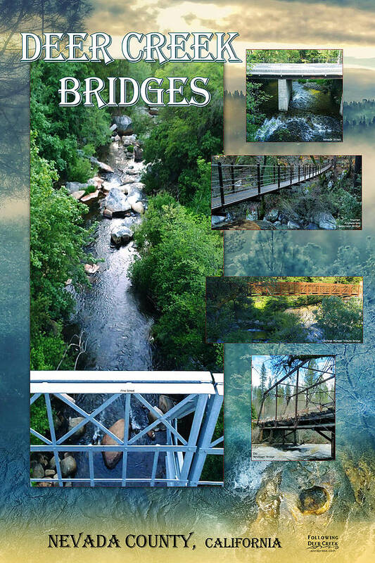 Deer Creek Bridges Poster featuring the digital art Deer Creek Bridges by Lisa Redfern
