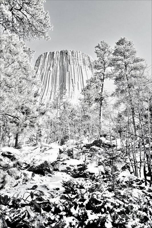 Devils Tower Poster featuring the photograph Devils Tower Wyoming by Merle Grenz