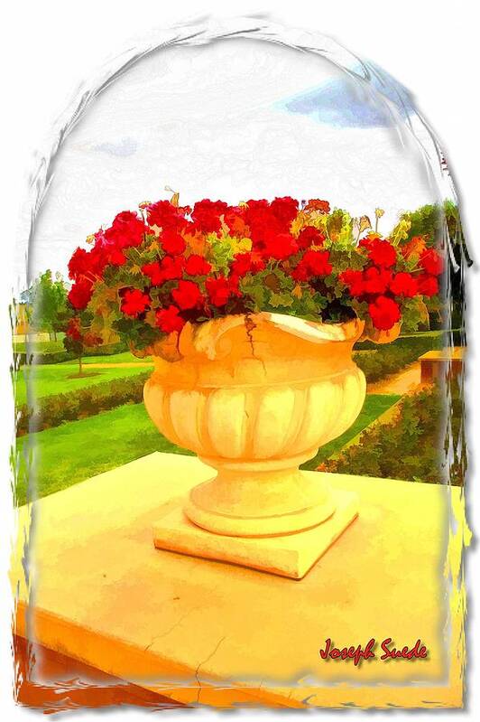 Rose Poster featuring the photograph DO-00162 A Vase by Digital Oil