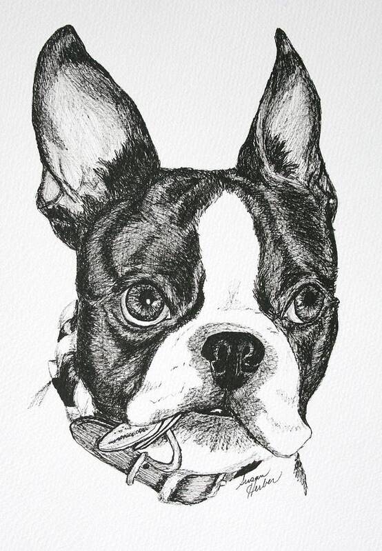 Boston Terrier Poster featuring the drawing Dog Tags by Susan Herber