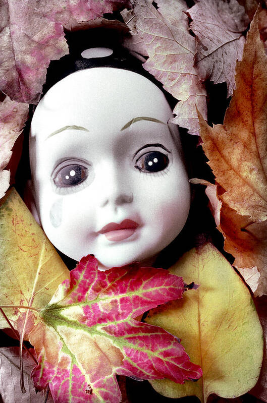 Doll Poster featuring the photograph Doll by Andrew Giovinazzo