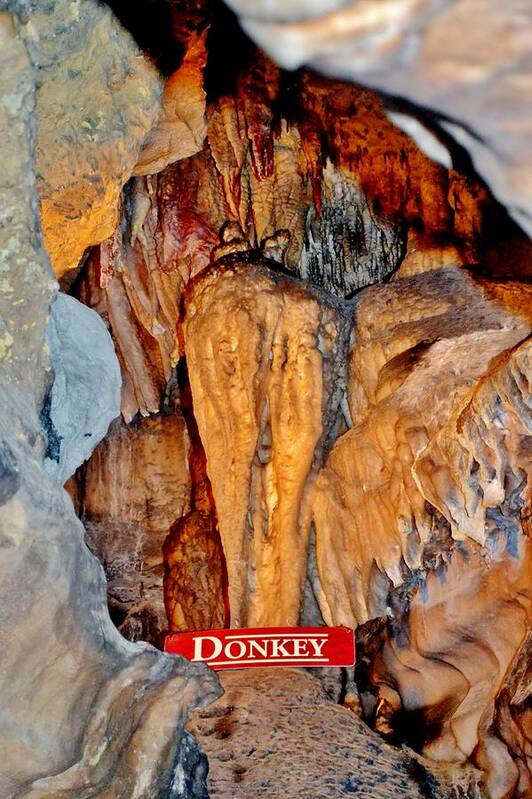 Caves Poster featuring the photograph Donkey's Butt by Eileen Brymer