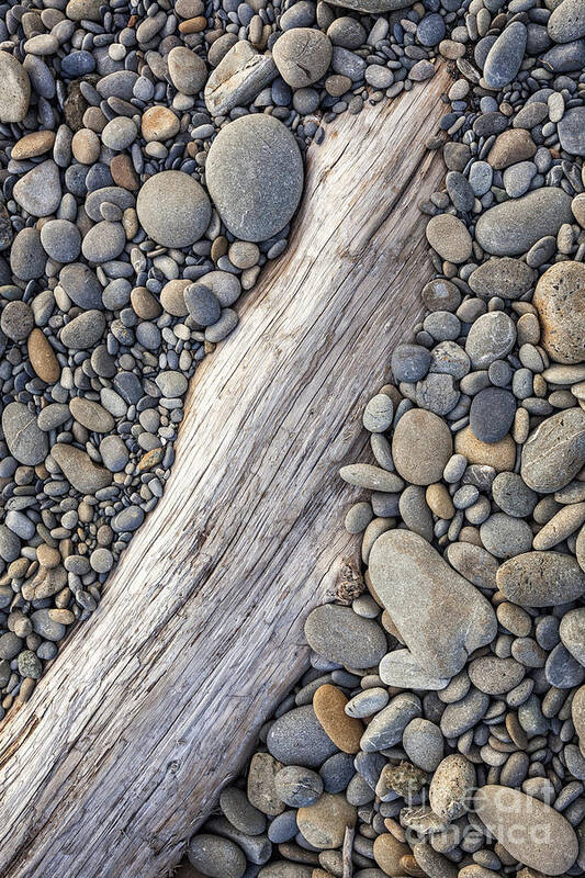 Driftwood Poster featuring the photograph Driftwood on Rock Covered Beach by Bryan Mullennix