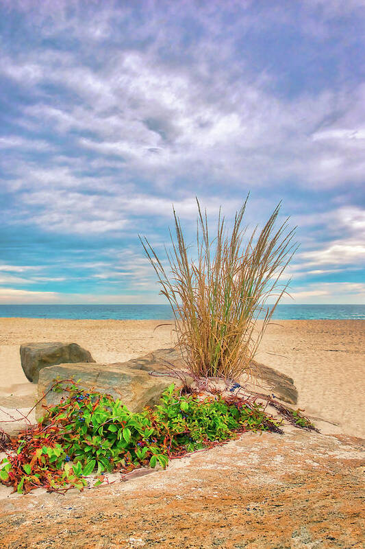 Sandy Hook Poster featuring the photograph Dune Grass On The Rocks by Gary Slawsky