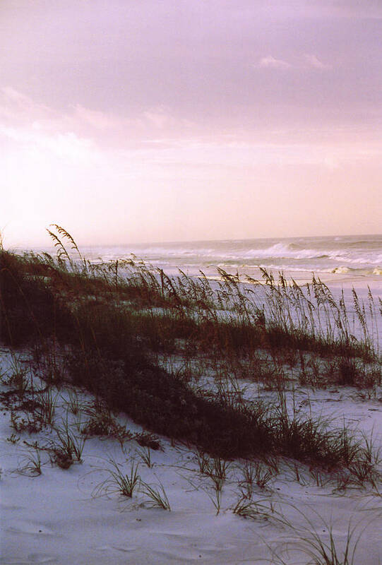 Ocean Poster featuring the photograph Dune Sunrise by Deborah Gallaway