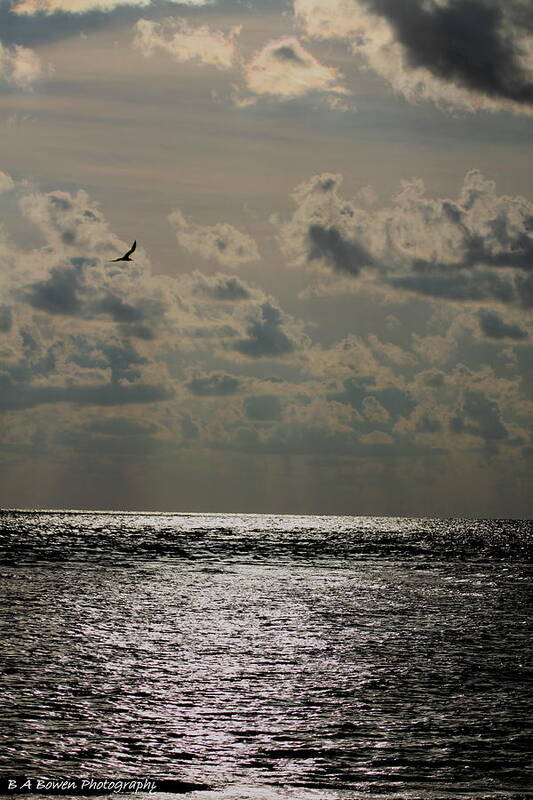 Sunset Poster featuring the photograph Dusk sets in by Barbara Bowen