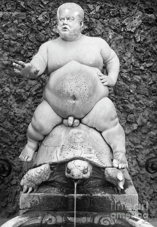 Boboli Gardens Poster featuring the photograph Dwarf On Turtle by Granger