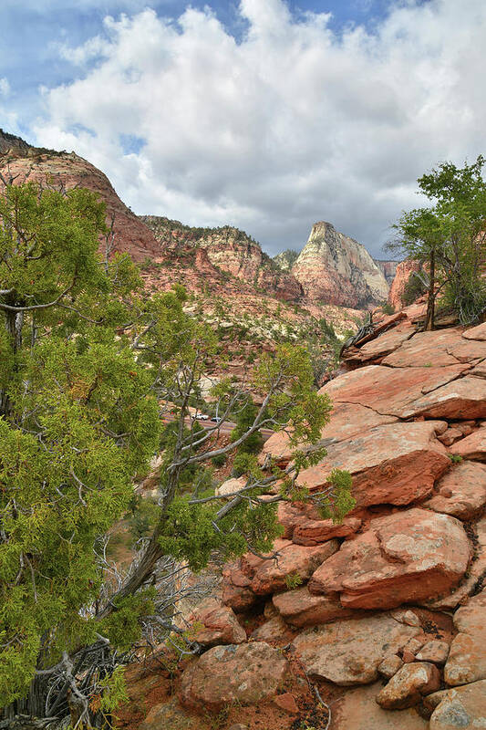 Zion National Park Poster featuring the photograph East Side Canyon by Ray Mathis