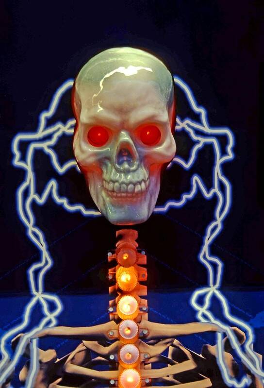 Skull. Bones Poster featuring the photograph Electric skull by Bill Jonscher