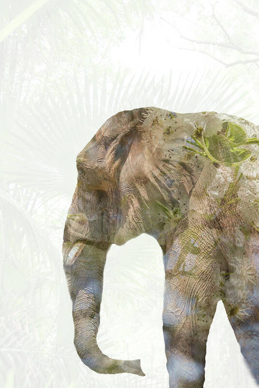Elephant Poster featuring the photograph Elephant Palms by Pamela Williams
