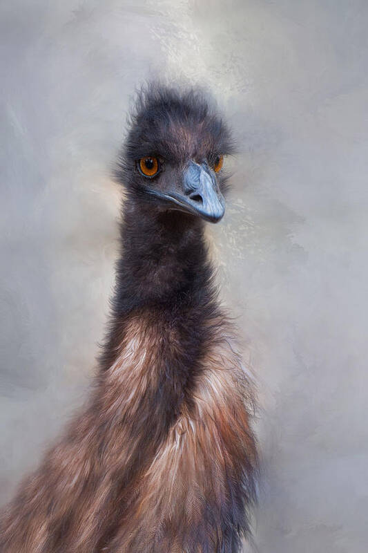 Emu Poster featuring the photograph Emu by Robin-Lee Vieira