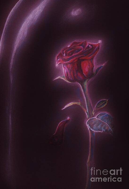 Rose Poster featuring the drawing Enchanted by Meagan Visser
