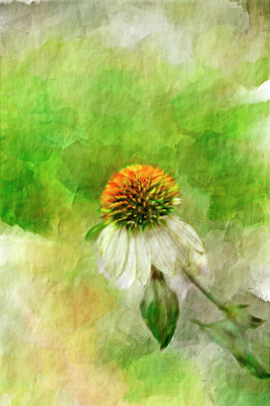 White Cone Flower Poster featuring the mixed media End of Summer by Mary Timman