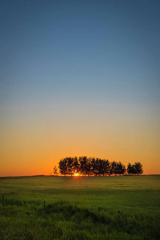 Sunset Poster featuring the photograph End of the Day by Bill Cubitt