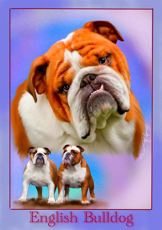 English Bulldog Poster featuring the painting English Bulldog With Border by Becky Herrera