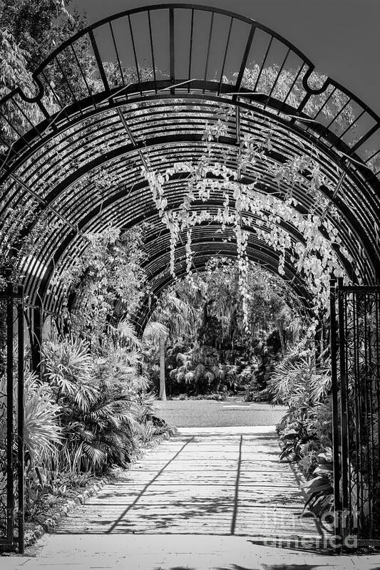 Entrance To Paradise Poster featuring the photograph Entrance to Paradise, Black and White by Liesl Walsh
