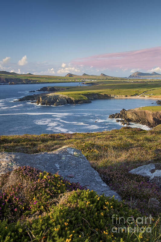 Ireland Poster featuring the photograph Evening over Dingle Peninsula II by Brian Jannsen