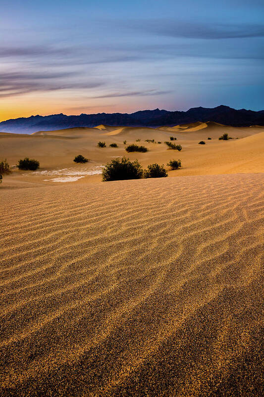 Death Valley Poster featuring the photograph Fading Gold by Mark Rogers