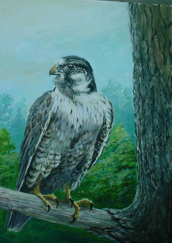 Wildlife Poster featuring the painting Falcon by Perry's Fine Art