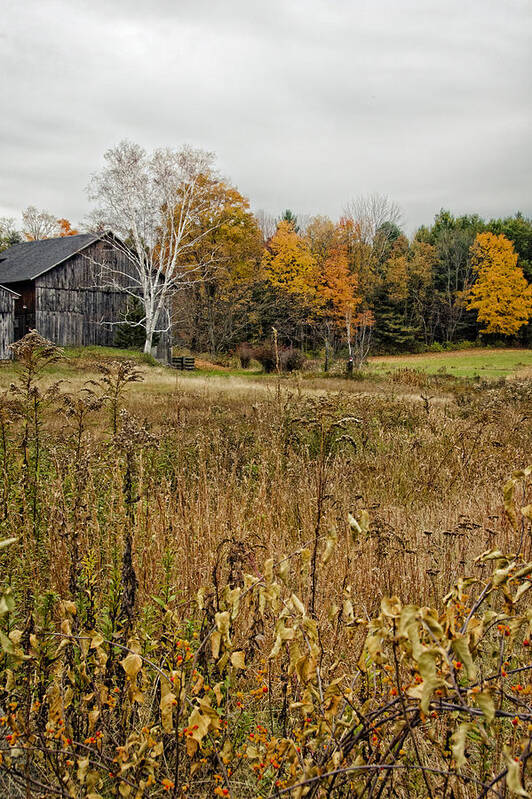 Autumn Poster featuring the photograph Fall Barn Scene by Donna Doherty