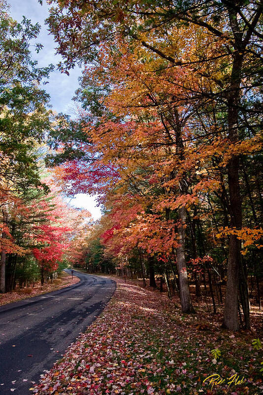 Autumn Poster featuring the photograph Fall Colors Backroad by Rikk Flohr