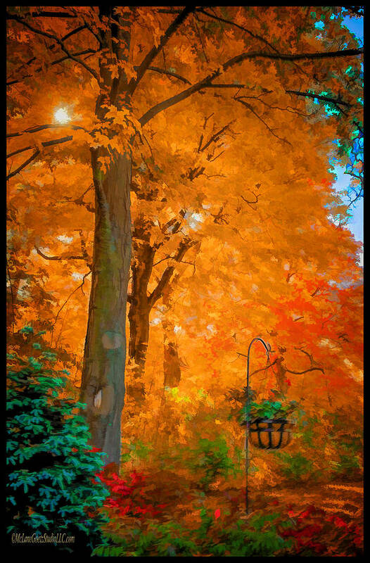 Leaves In Fall Poster featuring the photograph Fall Explosion by LeeAnn McLaneGoetz McLaneGoetzStudioLLCcom