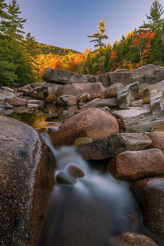 Fall Foliage Poster featuring the photograph Fall Foliage in New Hampshire Swift River by Ranjay Mitra